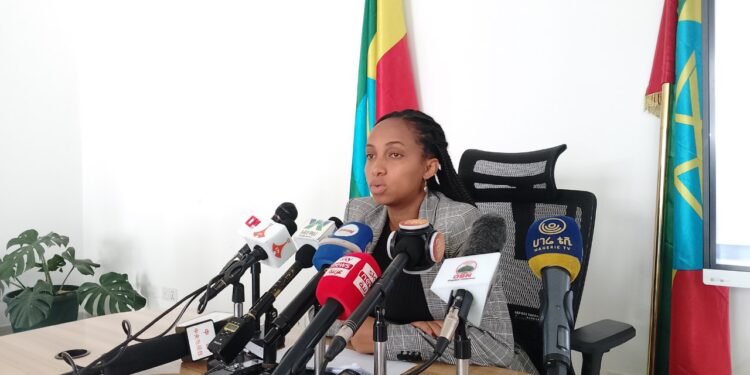 Ethiopia Attracts $3.82 Billion in Foreign Direct Investment