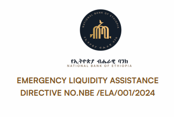 Emergency Liquidity Assistance Directive