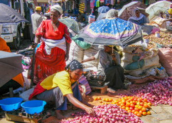 Behind the Scenes of Ethiopia’s Economy